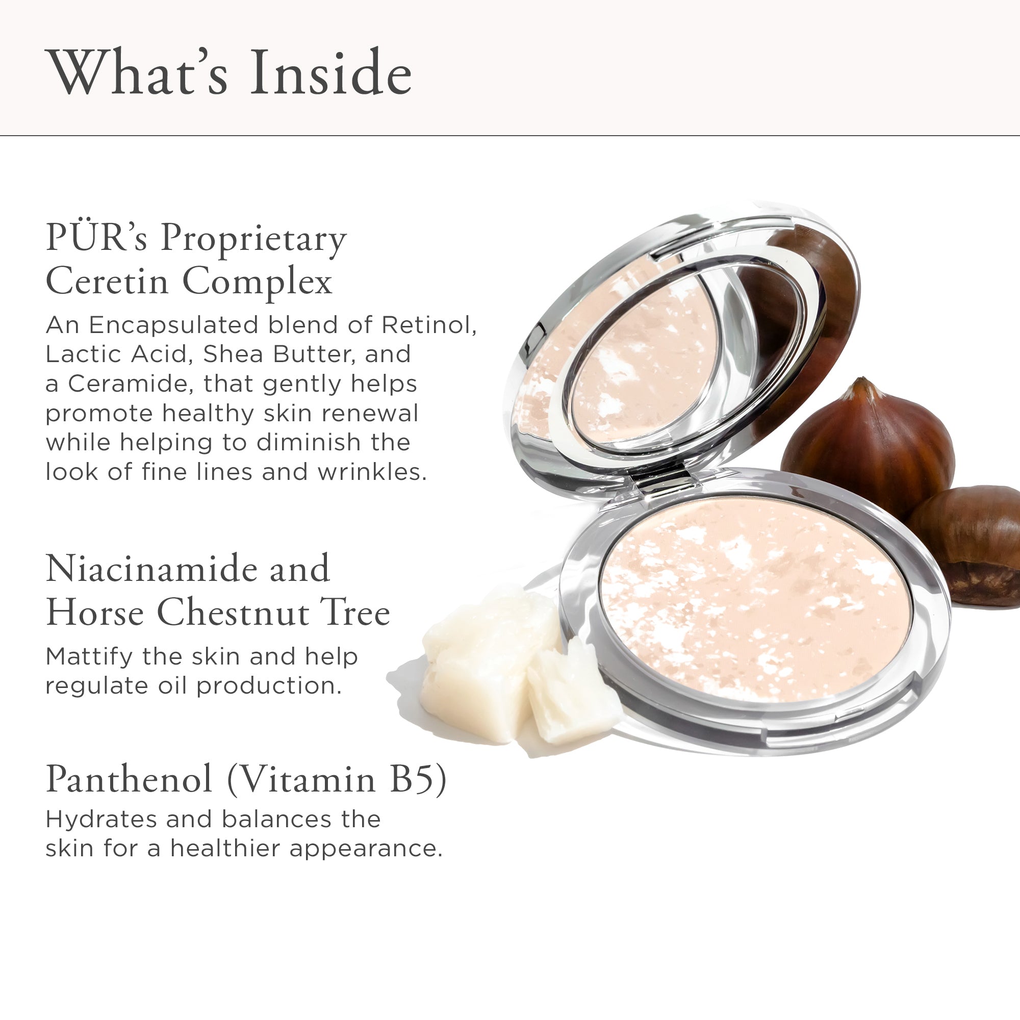 Skin-Perfecting Mattifying Shine-Control Powder - Balancing Act